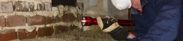 Pest control technician inspecting a crawl space for ant activity and entry points in Savannah, GA