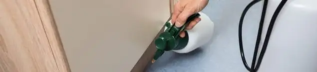 Bed bug exterminator treating baseboards and cracks with targeted spray in Savannah, GA