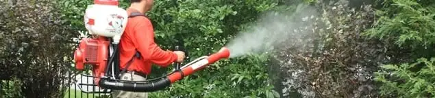 Mosquito control technician fogging shrubs and landscaping for mosquito treatment in Savannah, GA