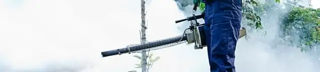 Pest control technician fogging an outdoor area for insect control in Savannah, GA