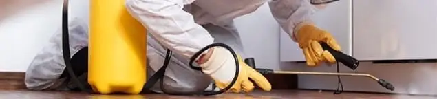 Roach exterminator treating cracks and crevices along kitchen baseboards in Savannah, GA