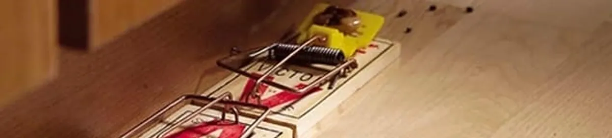 Rodent trap set indoors for rodent control and prevention in Savannah, GA